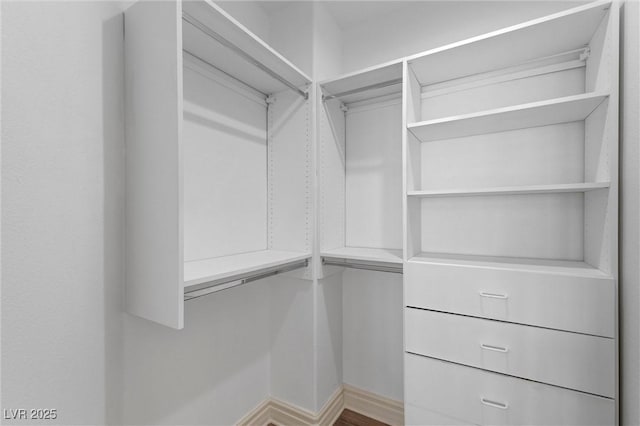 view of walk in closet