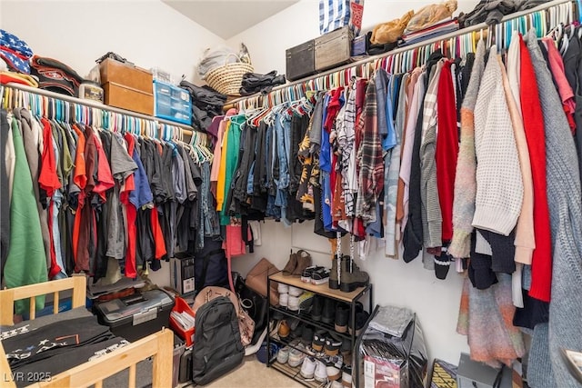 spacious closet with carpet floors