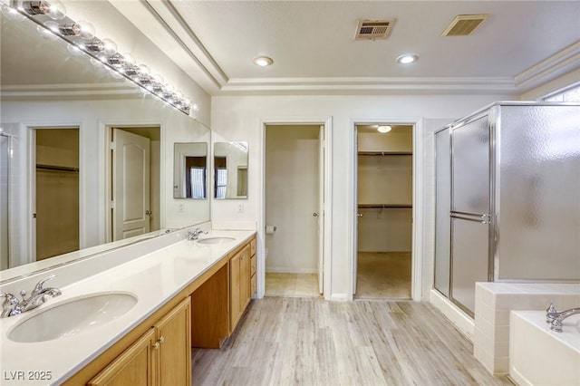 bathroom with a raised ceiling, vanity, wood-type flooring, and plus walk in shower