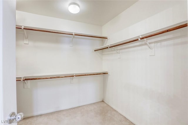 walk in closet featuring light colored carpet