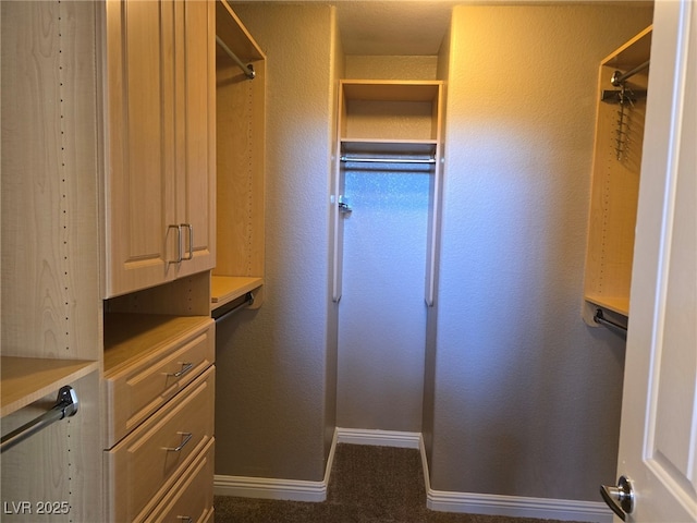 view of walk in closet