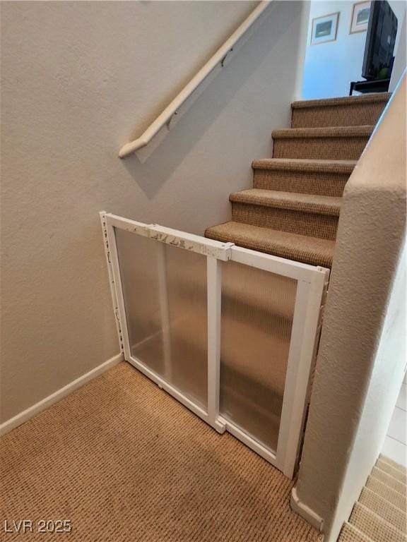 staircase featuring carpet flooring