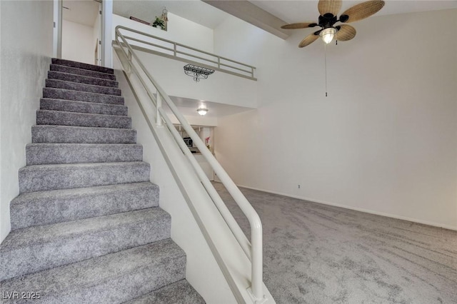 staircase featuring carpet floors and ceiling fan