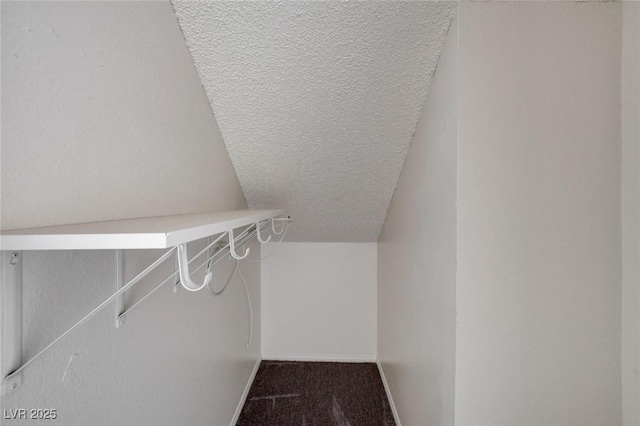 spacious closet with carpet floors and vaulted ceiling