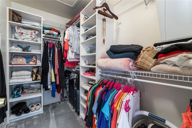 walk in closet featuring dark colored carpet