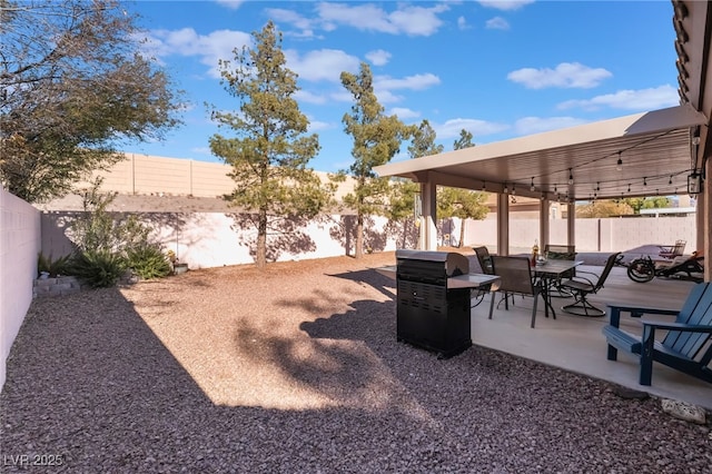 view of yard featuring a patio area