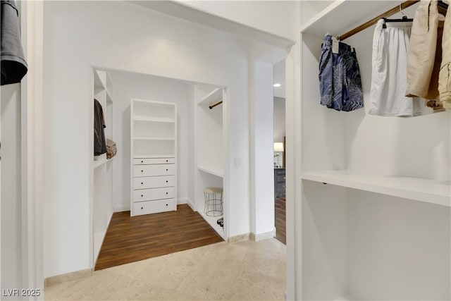 spacious closet featuring wood-type flooring