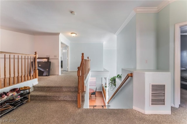 staircase featuring crown molding and carpet flooring