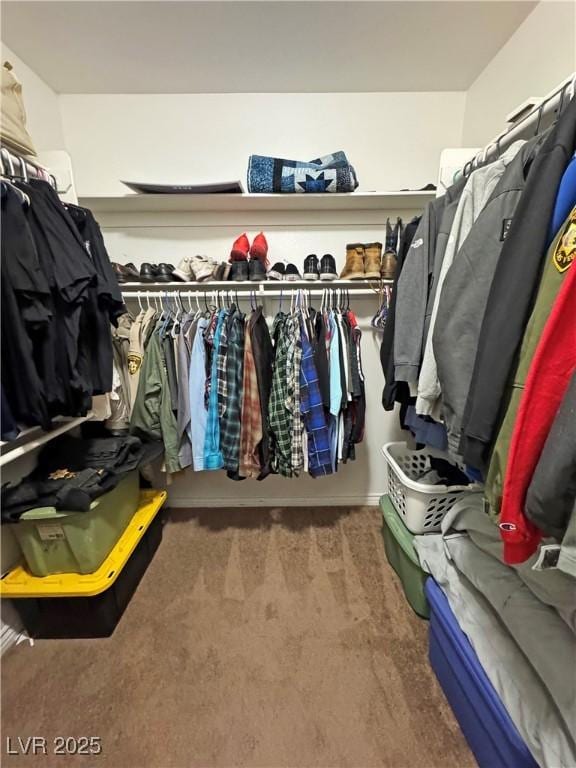 spacious closet with carpet floors