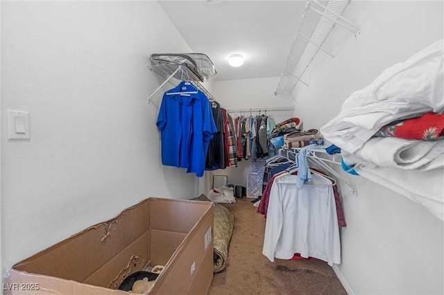 spacious closet with carpet flooring