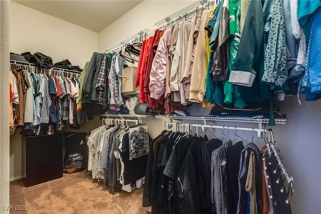 spacious closet featuring carpet floors