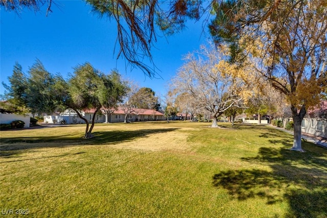 view of community with a yard