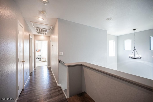 hallway with a notable chandelier and dark hardwood / wood-style flooring