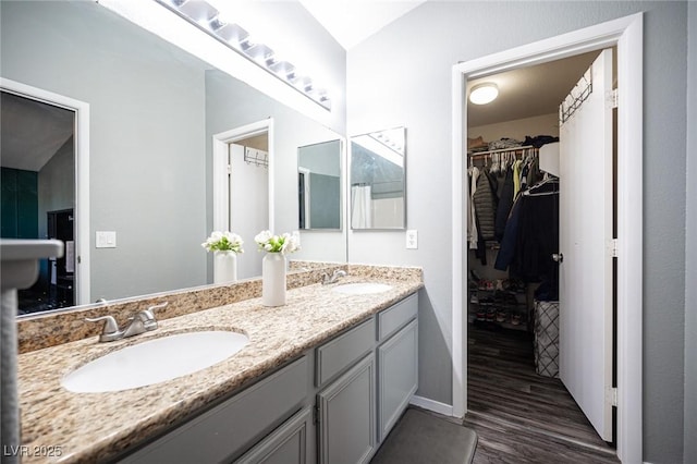 bathroom with hardwood / wood-style floors and vanity