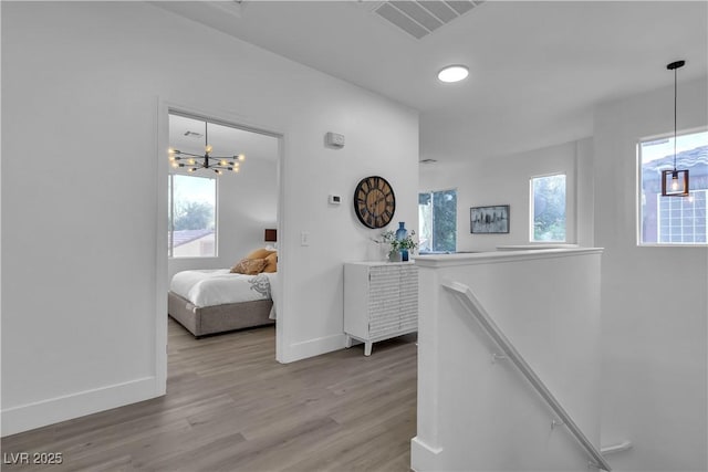 corridor with a chandelier, a healthy amount of sunlight, and hardwood / wood-style floors