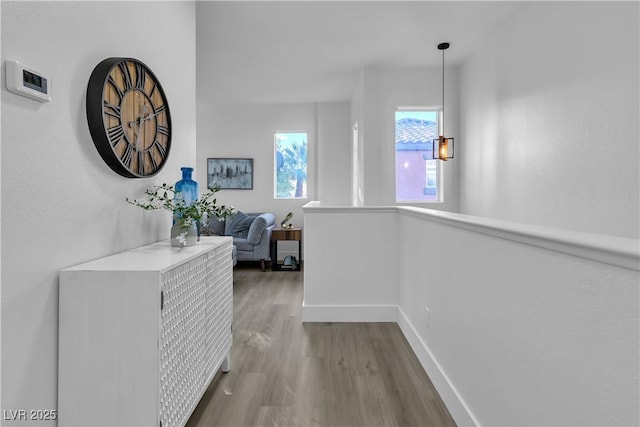 hall featuring hardwood / wood-style flooring