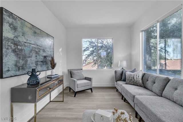 living room featuring a healthy amount of sunlight and light hardwood / wood-style floors