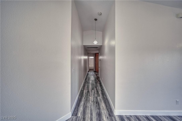 hall featuring a towering ceiling and dark hardwood / wood-style flooring