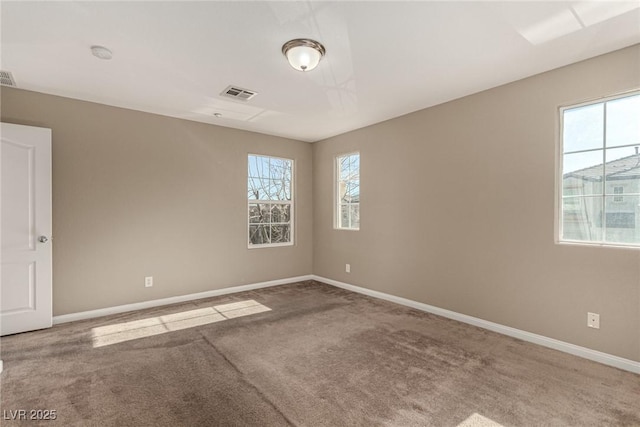 unfurnished room featuring plenty of natural light and carpet floors