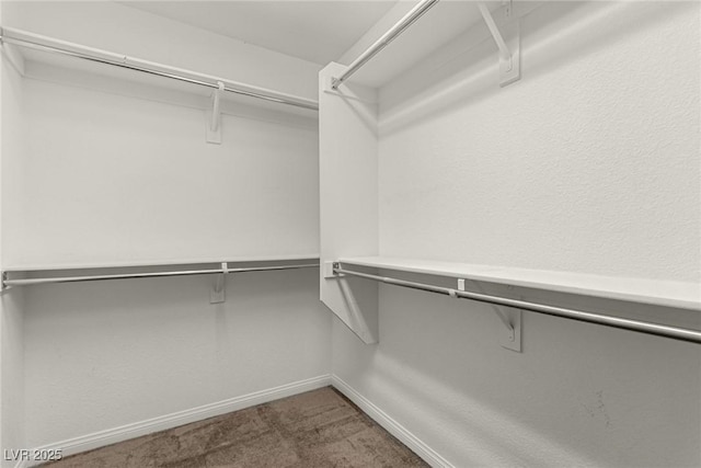 walk in closet featuring carpet flooring