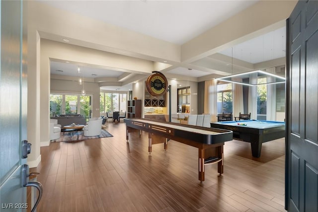 game room with wood-type flooring and pool table