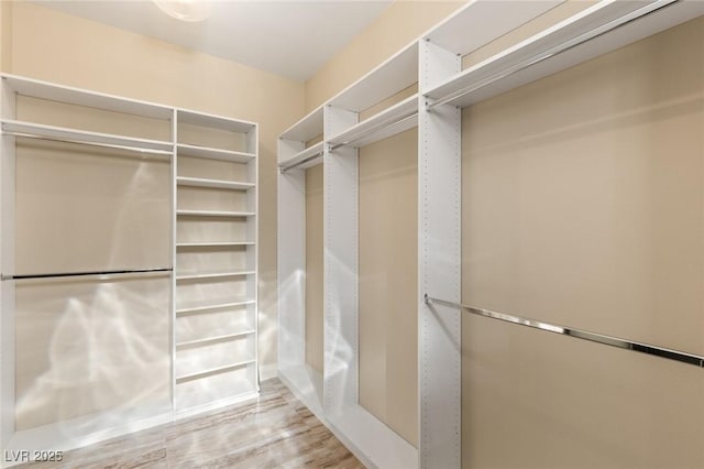 walk in closet with light hardwood / wood-style floors