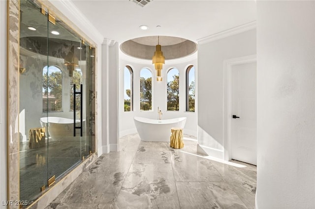 bathroom featuring a tray ceiling, ornamental molding, and separate shower and tub