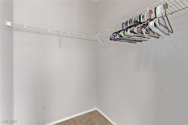 spacious closet with carpet