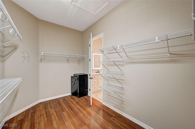 spacious closet with hardwood / wood-style flooring