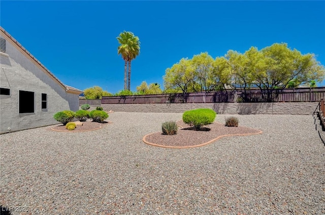 view of yard featuring a patio