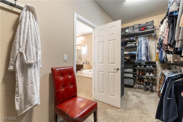 spacious closet featuring carpet flooring