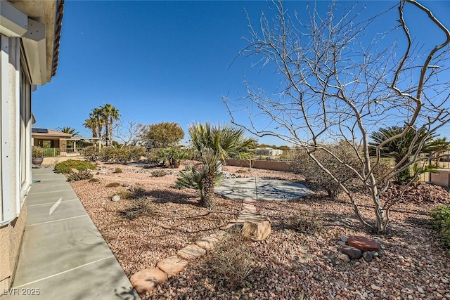 view of yard featuring a patio area