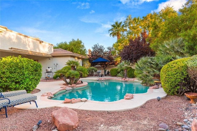 view of pool with a patio