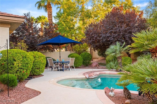 view of pool featuring a patio