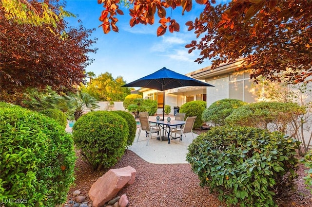 view of yard featuring a patio