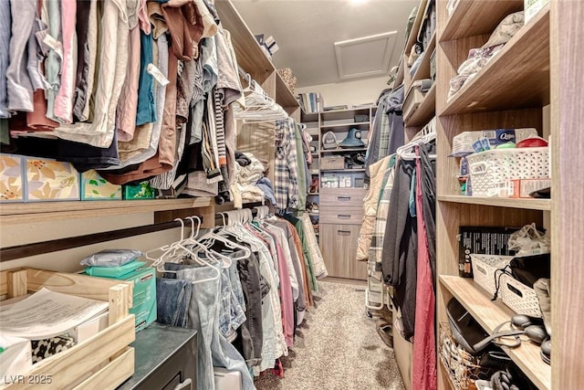 spacious closet featuring light carpet