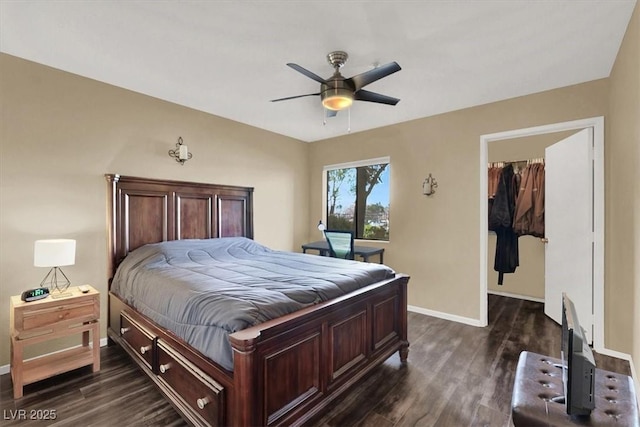 bedroom with ceiling fan, dark wood-type flooring, a closet, and a spacious closet