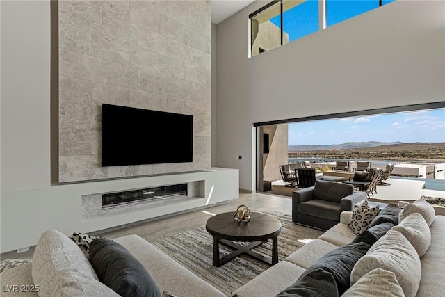 living room featuring a fireplace and wood finished floors