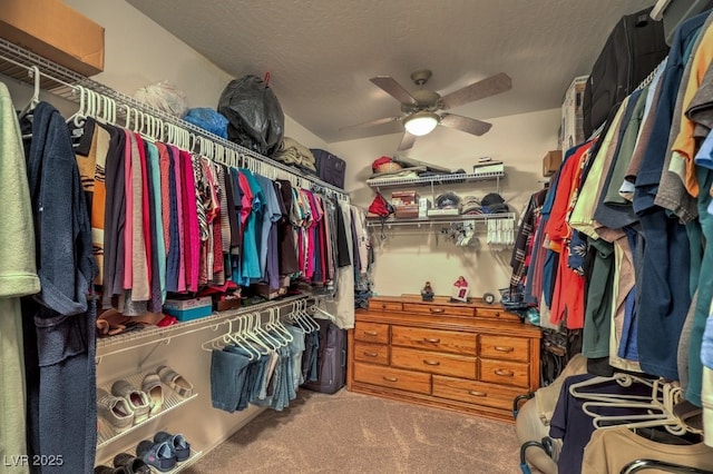 walk in closet with ceiling fan and carpet flooring