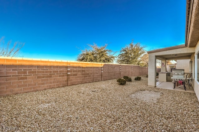 view of yard with a patio