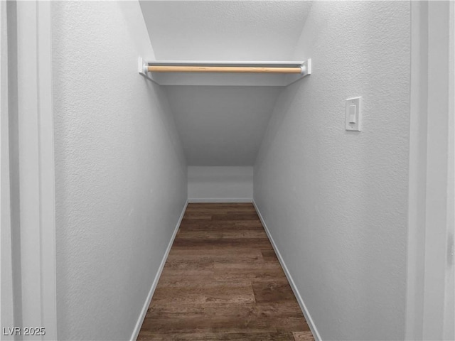 walk in closet with dark wood-type flooring