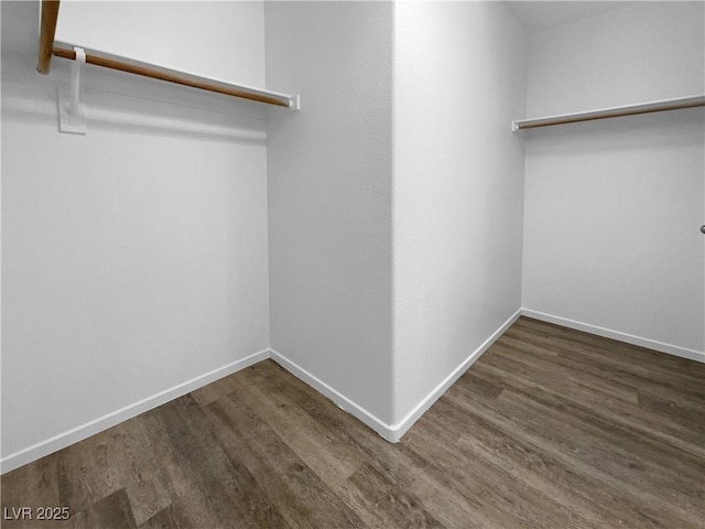 walk in closet with dark wood-type flooring