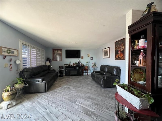 living room with light hardwood / wood-style floors