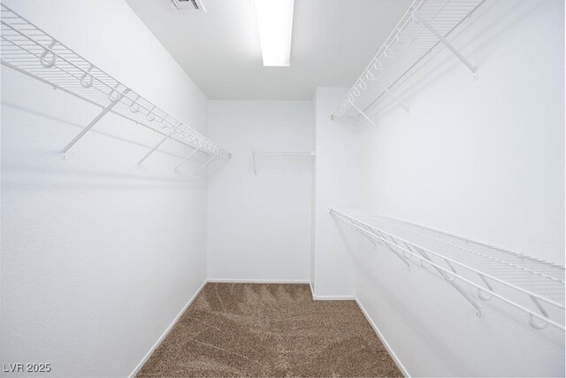 spacious closet with visible vents and carpet flooring