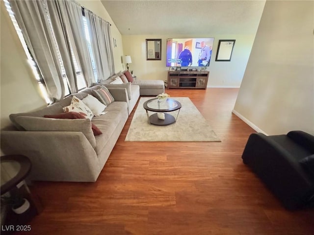 living room with hardwood / wood-style flooring and lofted ceiling