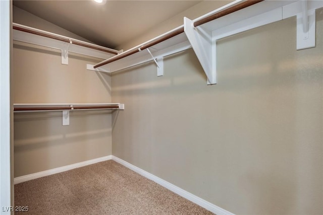 spacious closet featuring lofted ceiling and carpet flooring