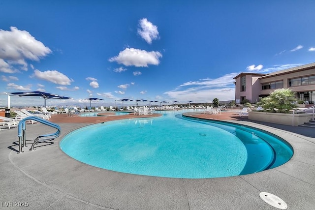 view of pool with a patio area