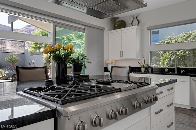 kitchen with sink, white cabinetry, dark hardwood / wood-style floors, and appliances with stainless steel finishes