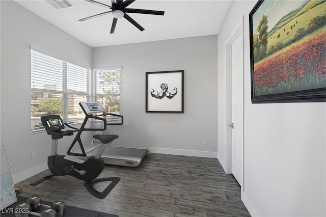 exercise room with ceiling fan and dark wood-type flooring