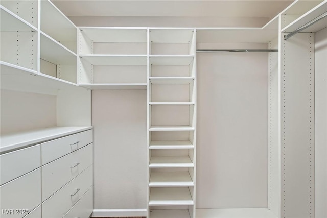 view of spacious closet